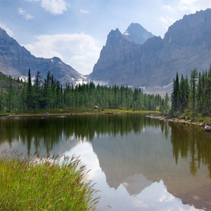 美女裸体自慰高超
